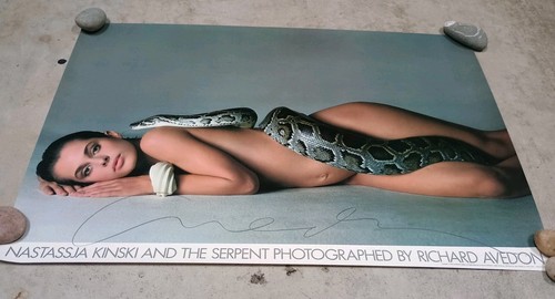 Poster nastassja kinski il - nastassja,