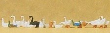 Anatre, Oche E Cigni HO/OO