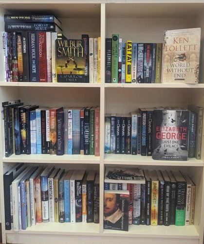 Englische bücher romane - englische,