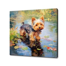 Yorkshire Terrier cane