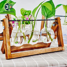 1Pc, Tabletop Glass Planter