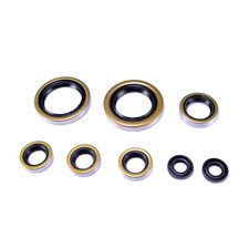 Kit guarnizioni motore per KTM