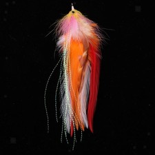 Kit Di Esche Per Mosche Da