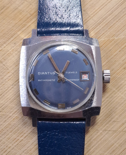 Orologio polso diantus - orologio,