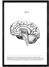 Poster stampa artistica
