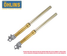 Ohlins Forcella Anteriore Retro 43 Triumph Street Twin 900 2016 > 2020 FG 620