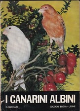 Vaccari canarini albini - -,
