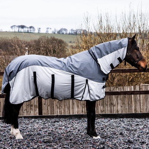 Tappeto cavallo 600d - tappeto, fly