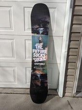 Stepchild Snowboard 156 cm