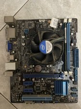 SCHEDA MADRE ASUS P8H61-M LX2