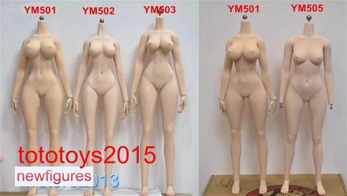 Stock action figure 6 - figure, 1/6