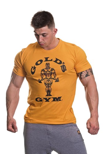 Golds gym muscle joe shirt - golds, t-shirt