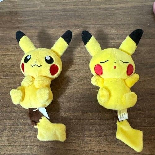 Pokemon center pikachu - center,
