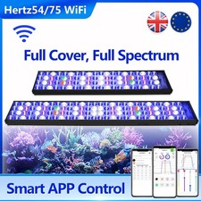 Popbloom wifi illuminazione - popbloom,