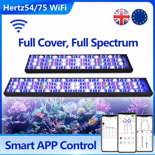 Popbloom wifi illuminazione - wifi,