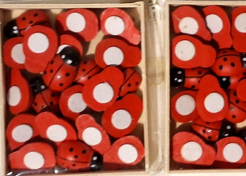 Coccinelle rosse nere - coccinelle,