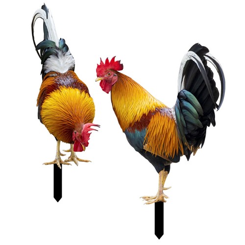Pcs arte del pollo in - del,