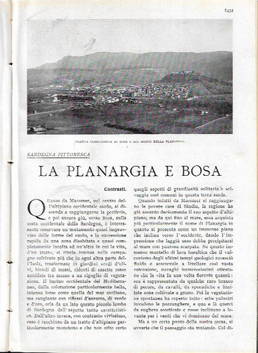 Planargia bosa estratto - planargia, e