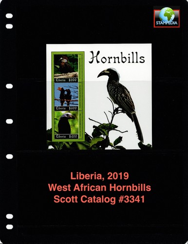 Scott value 2019 - $8,75,