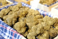 Tartufo Bianco Pregiato -