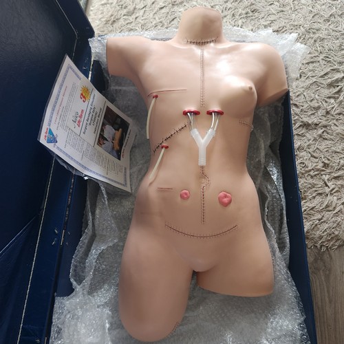 Lifeform surgical sally - lifeform,