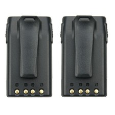 2X Batteria agli ioni di litio