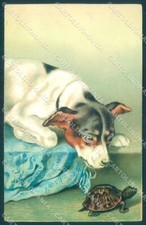 Animali Jack Russell cane tartaruga serie 041 rilievo cartolina TW1921