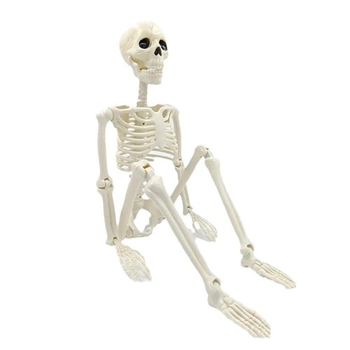 Scheletro halloween snodabile - scheletro,