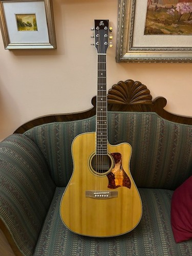Chitarra acustica burger - acustica, &