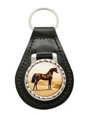 Cavallo Arabo Di William