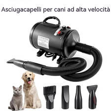 Asciugatore per cani - asciugatore,