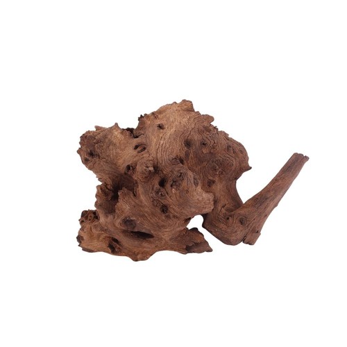 Decorazione radice acquario - radice,