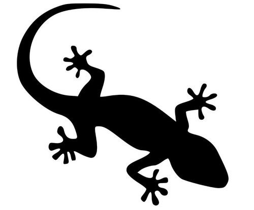 Geco stikers adesivo - geco, stikers-adesivo