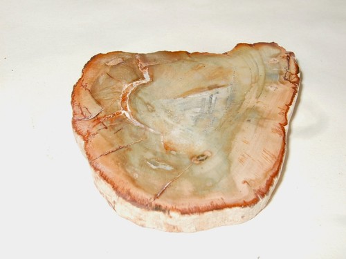 Minerali grezzi - -,
