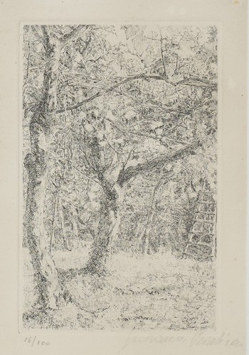Barbisan giovanni - barbisan,