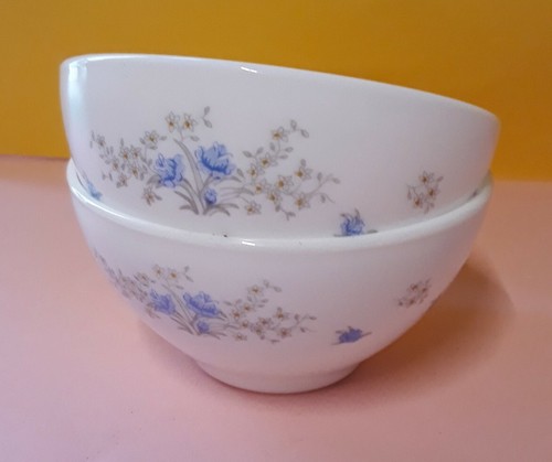 Arcopal france rosa azzurra - ,