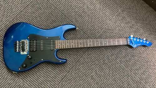Chitarra elettrica aria - elettrica, pro