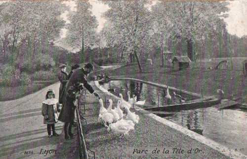 Carte postale lyon - carte, la