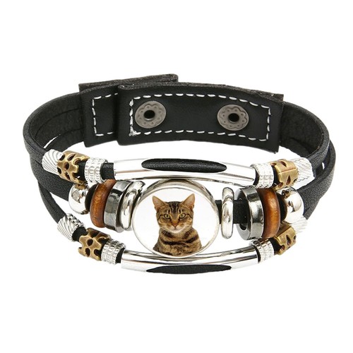 Tabby cat pet family - tabby, brown