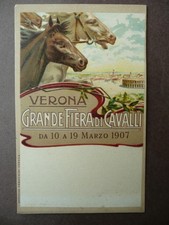 Cartolina Fiera Cavalli Verona Marzo 1907 Cromolitografia Equitazione Ippologia