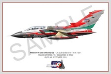 Panavia Tornado Squadron Print - Poster 30x45- Aeronautica Militare - 154 Gr 50y