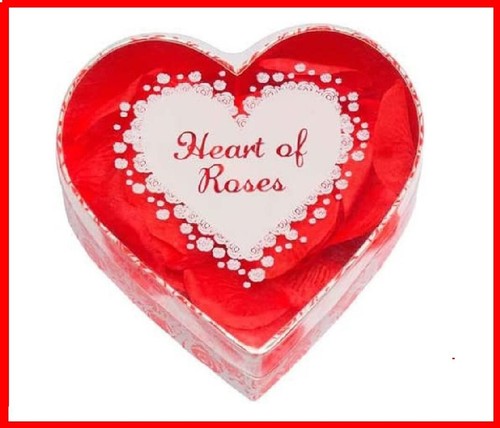 Petali rosa cuore cuori - cuore,