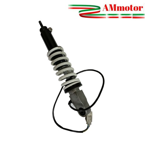 Revisione mono ammortizzatore - revisione,