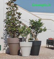 Vaso In Resina Campana Facia