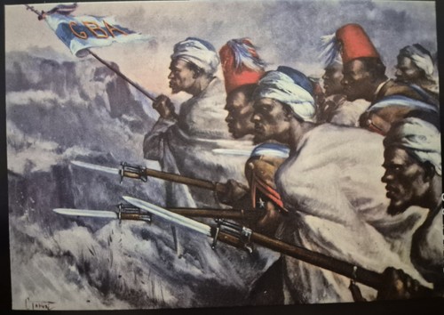 Cartoline militari coloniali - cartoline,