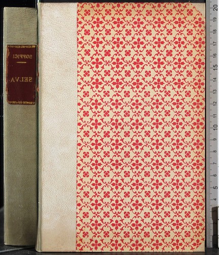 Salve ardengo soffici - salve.,