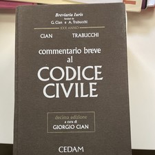 Commentario Breve Al Codice Di