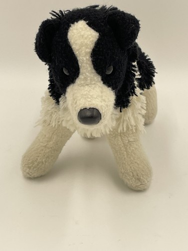 Douglas meadow border collie - border,