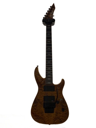 Chitarra elettrica rich - chitarra, b.c.rich