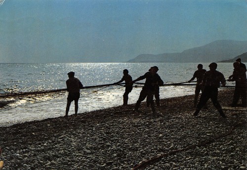 A6548 versilia bella pesca - a6548),
